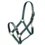 Shires Arma Adjustable Headcollar - Green